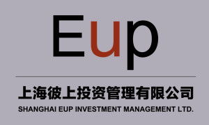 上海彼上投資管理 專(zhuān)業(yè)投資管理的領(lǐng)航者